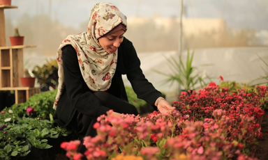 A smiling young woman kneels over a bed of flowers