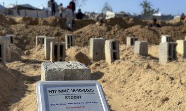 Close-up of a burial ground showing multiple mounds of sand and a sign for identification.