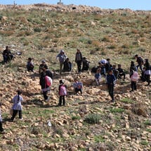 Israel’s largest land grab since the Nakba