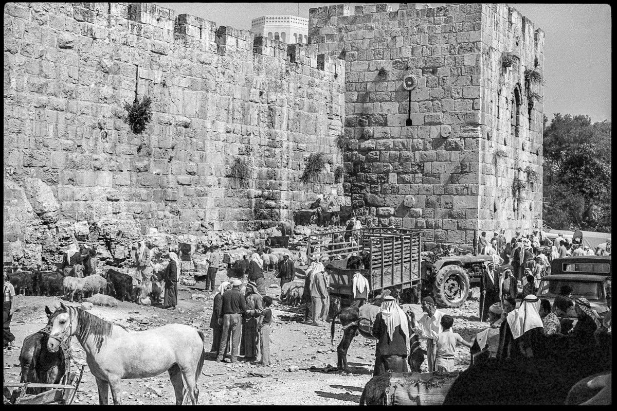 People, horses and livestock milling around in front of Old City gate