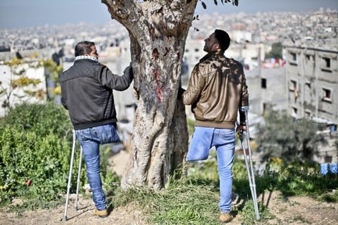 Two young men, each standing on one leg, next to tree on hill overlooking city