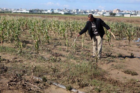 Man stands in a field 