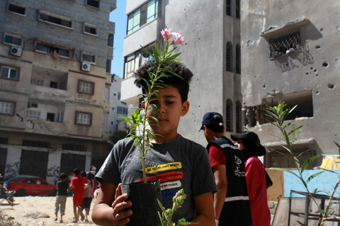 Boy holds a plant 