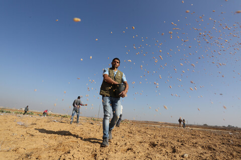 Man throws seeds in the air 