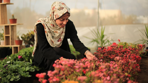 A smiling young woman kneels over a bed of flowers