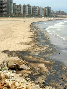 Lebanon's biggest environmental catastrophe: 15,000 ton ...