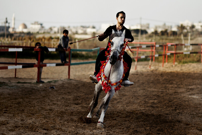 Young man rides horse decorated with flowers