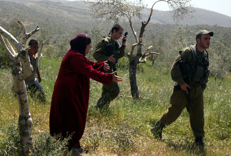 Woman pleads to Israeli soldiers in destroyed olive grove