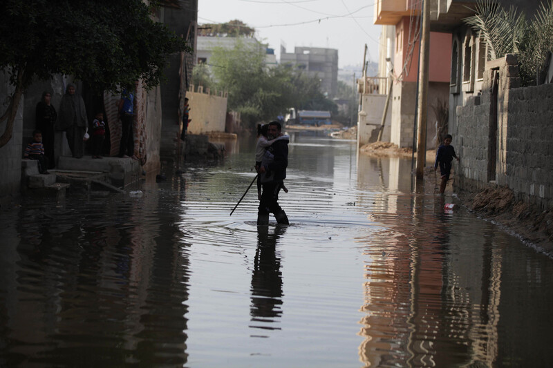 The Month in Pictures: November 2013 | The Electronic Intifada