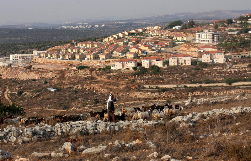 Herder walks with sheep in front of Israeli settlement