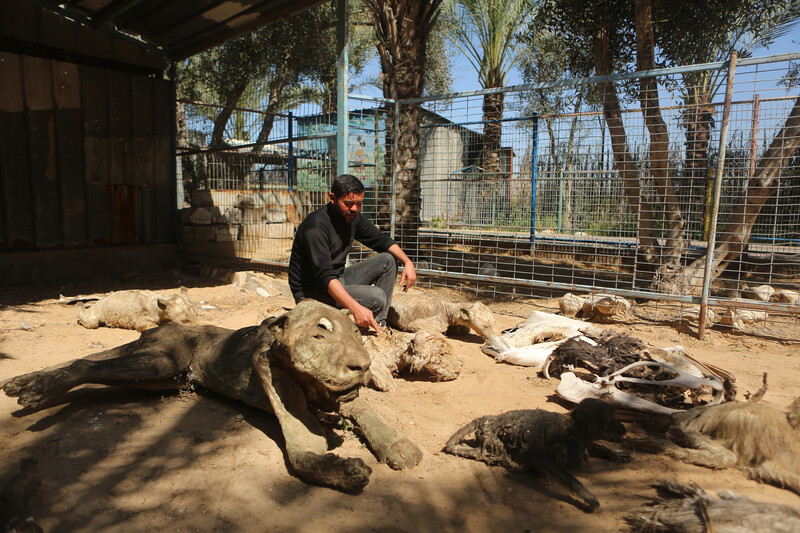 Man sits among variety of stuffed animals