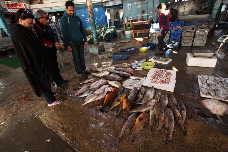 Palestinian fishermen in the Gaza seaport, April 2016.