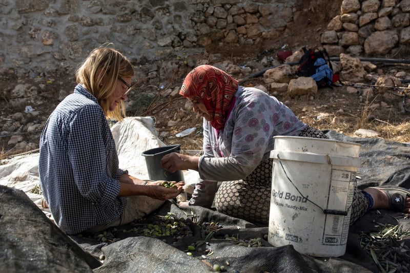 Two women select freshly picked olives from a sack.