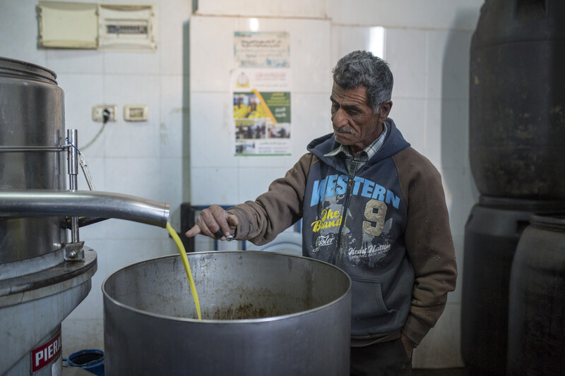 A man checks the juice of olives as they are being pressed.