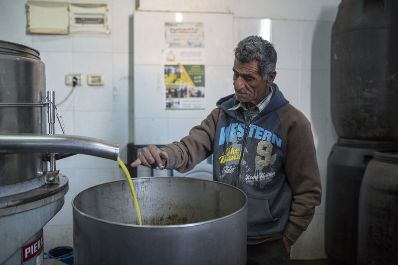 A man checks the juice of olives as they are being pressed. 