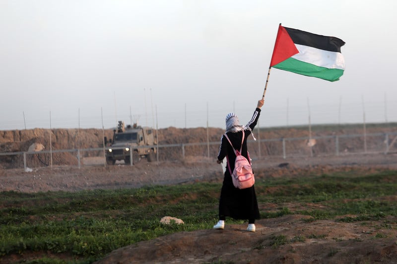 A young Palestinian waves a Palestinian flag