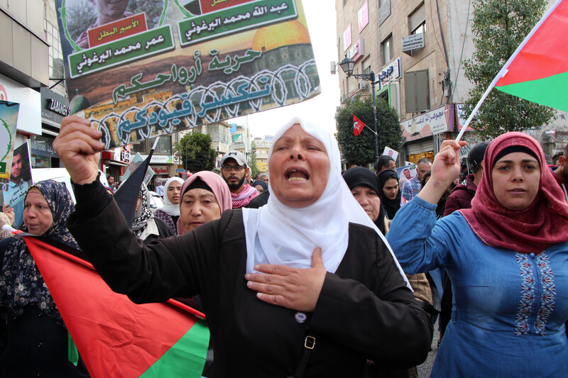 Protesters hold banners and Palestinian flags. 