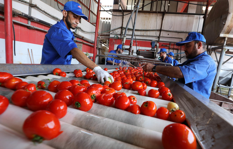 Past factory. Томатная фабрика. Xinjiang Tomato Factory. Томатная фабрика в Гондурасе. Tomato processing Factory.