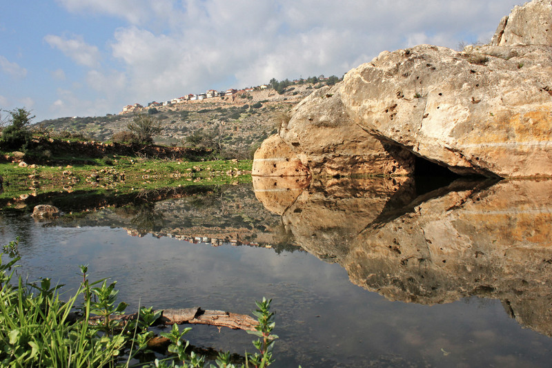 A spring with a settlement in the background