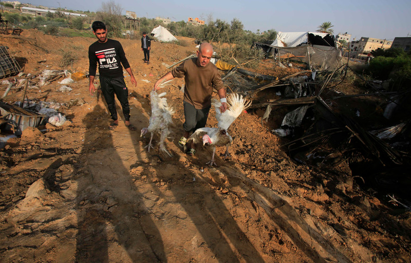 Man carries two dead chickens in a field
