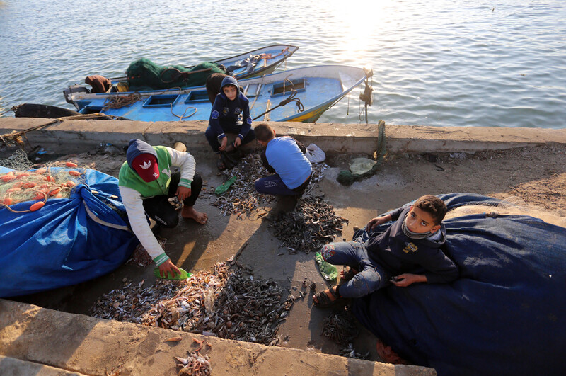 Men and boys parse through fish on the seaport