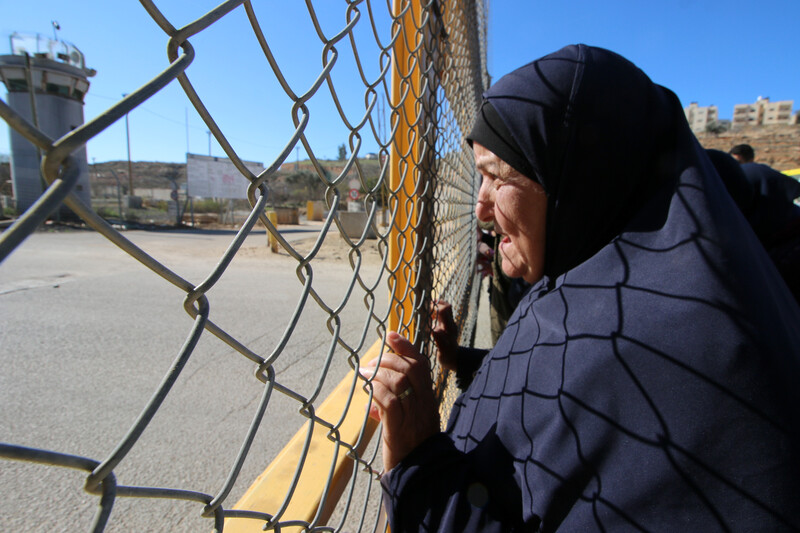 Woman holds barbed wire