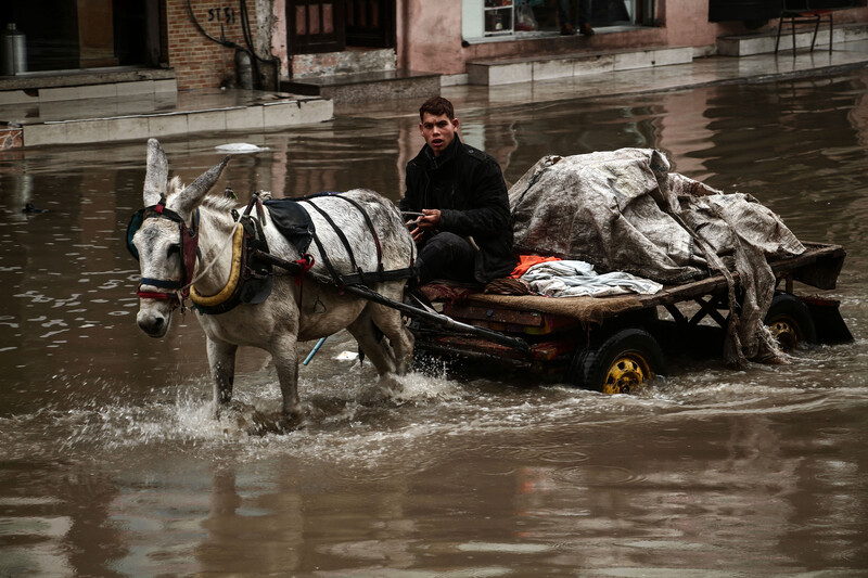 A young man drives a mule driven cart through a flooded street