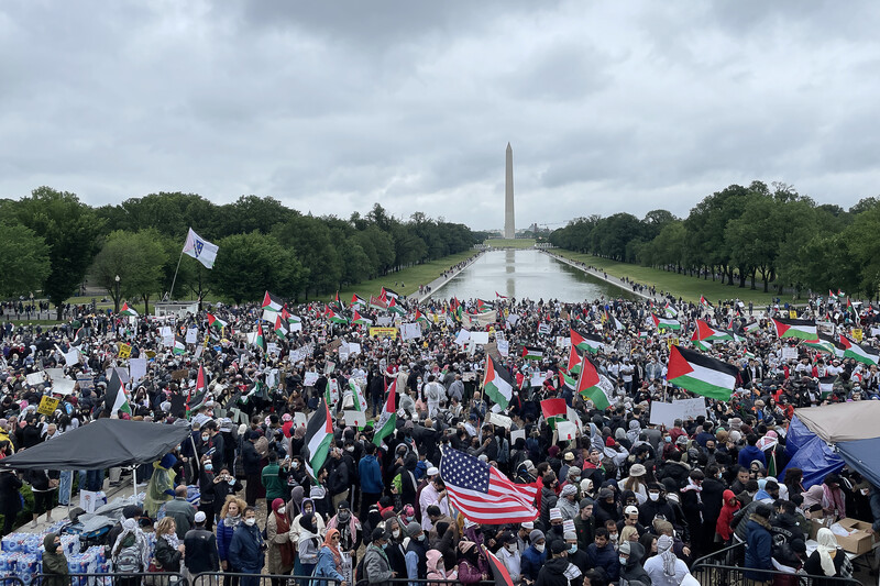 Large crowd with flags near reflecting pool and grass