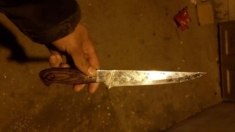 A hand holding a chef's knife with brown handle