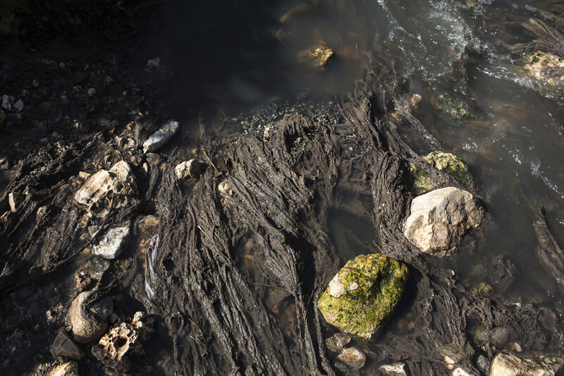 Rocks stick out of dirty water