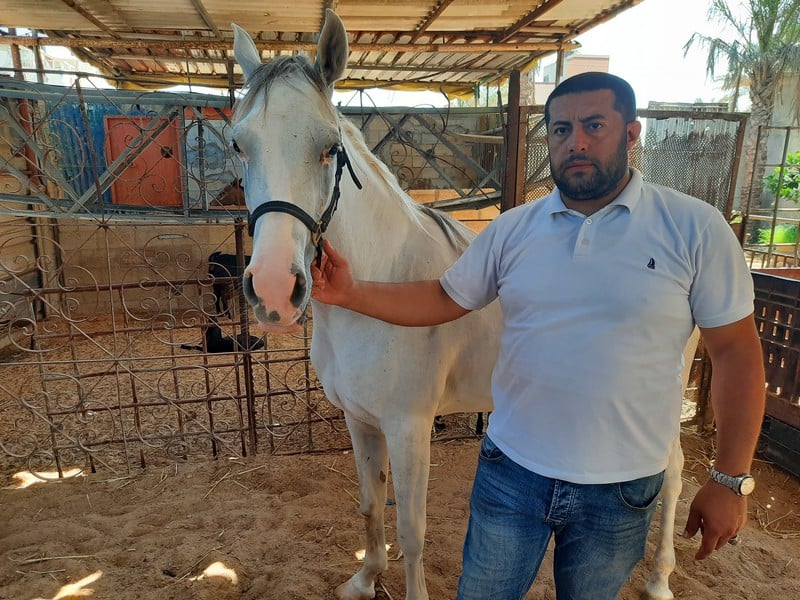 A man holds a white horse by its rein