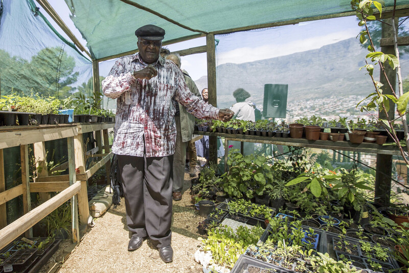 A man in hat surrounded by plants and mountains behind him