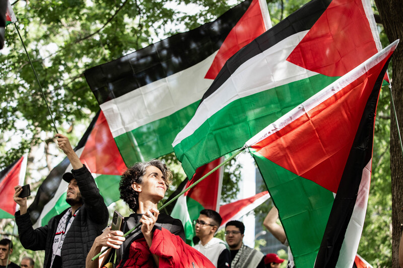 protestors carry Palestinian flags