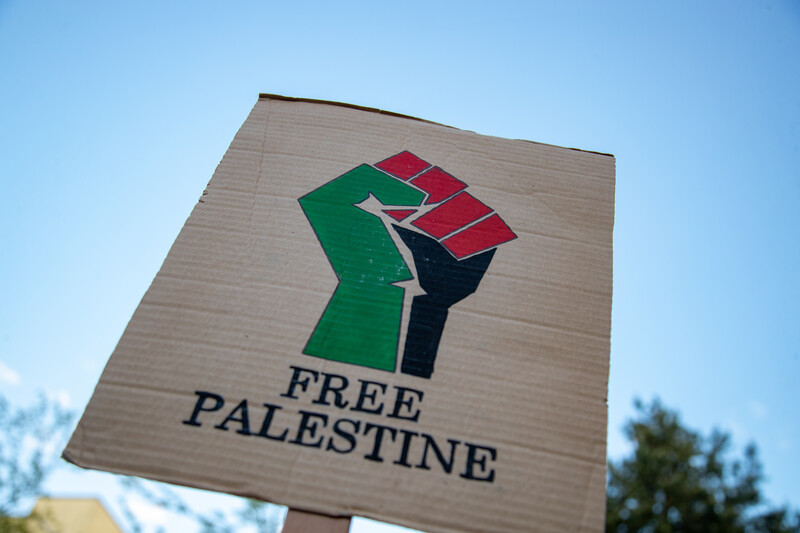 A sign at a protest reads free Palestine