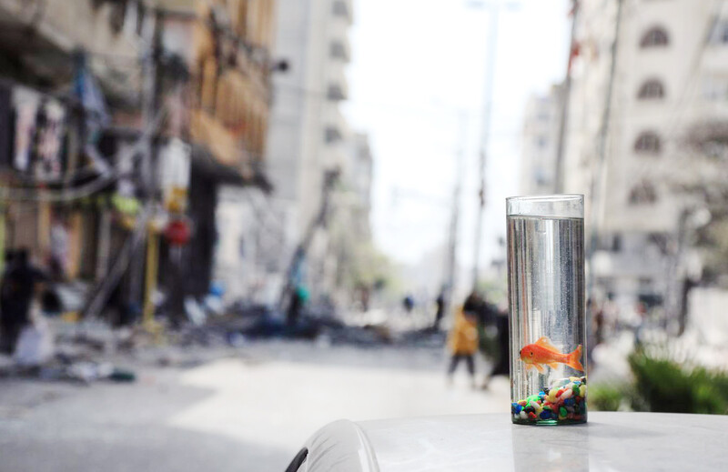 Independent media in Gaza surviving against the odds 1 A goldfish in a glass of water