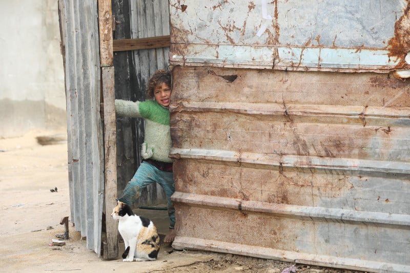 A Palestinian girl peeks out from a door of a metal building with a cat sitting at her feet. 