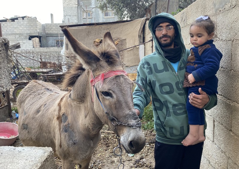 A Palestinian man in a hoodie and glasses holds his toddler-age daughter while also holding the reins of a donkey.