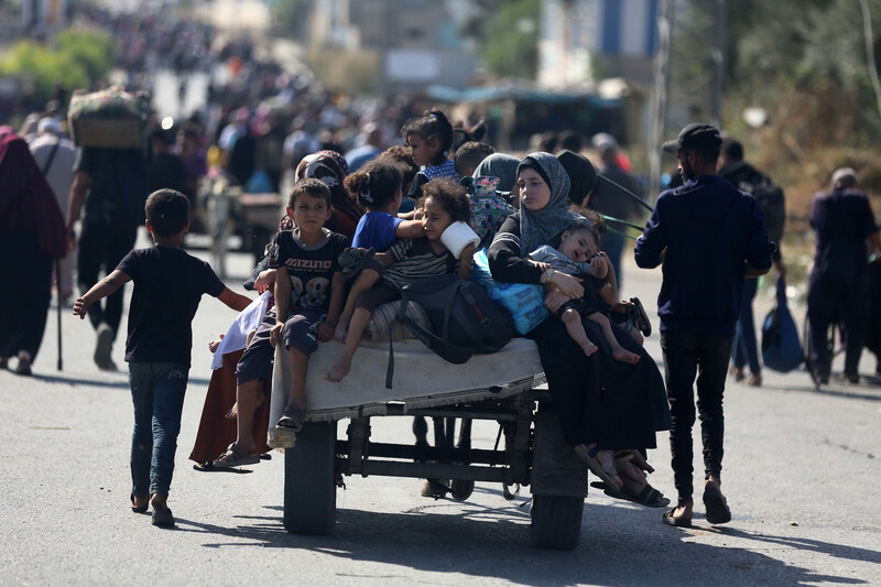A donkey cart crowded with children