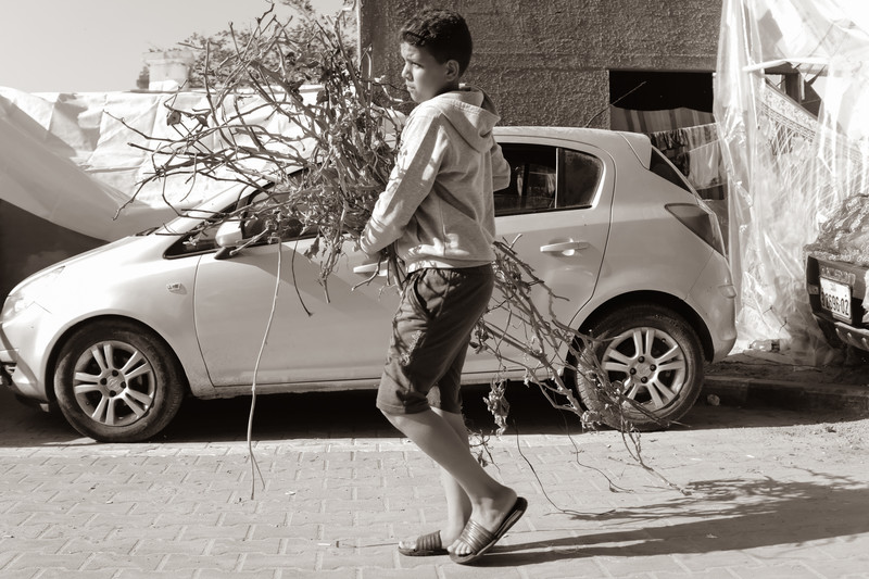 A boy carries branches