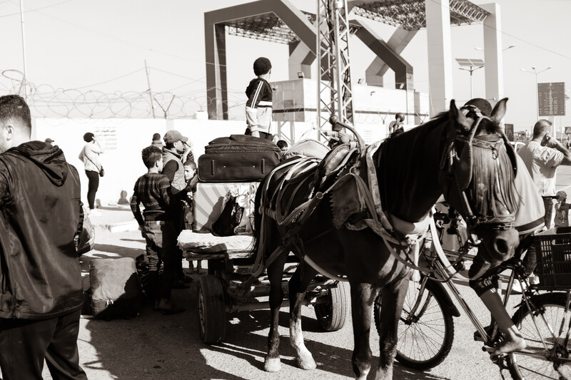 A horse-drawn cart with luggage