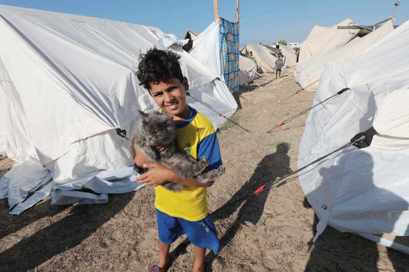 A boy holds a cat by a tent