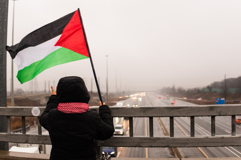 A girl waves the Palestinian flag over a highway