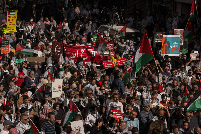 A large pro-Palestine demonstration