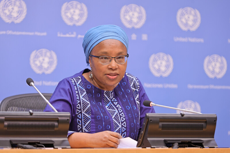 A woman sits at a table in front of wall adorned with the UN logo