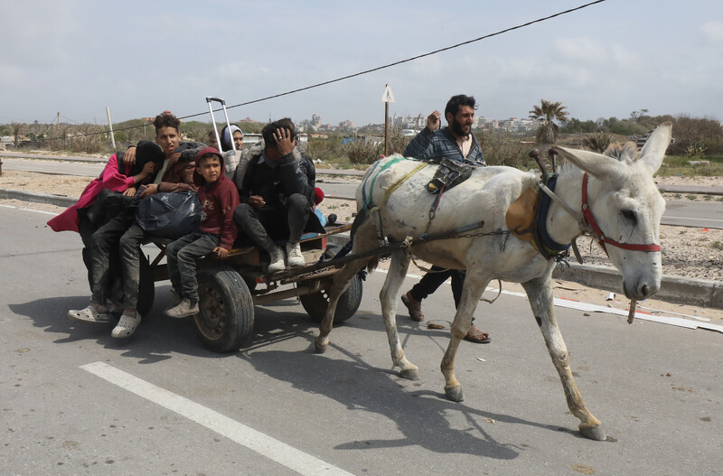 A white donkey pulls a cart with people in it, including young children