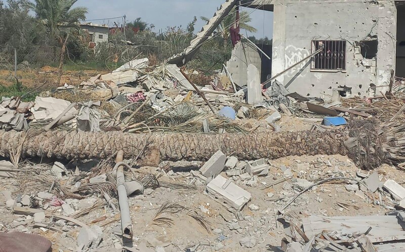 Amid rubble lies the trunk of a tall palm tree.