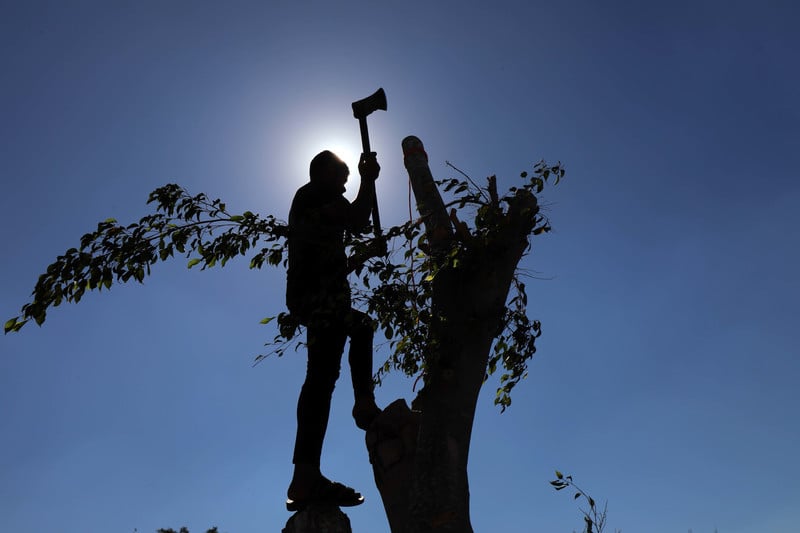 A man in silhouette uses an axe on a tree
