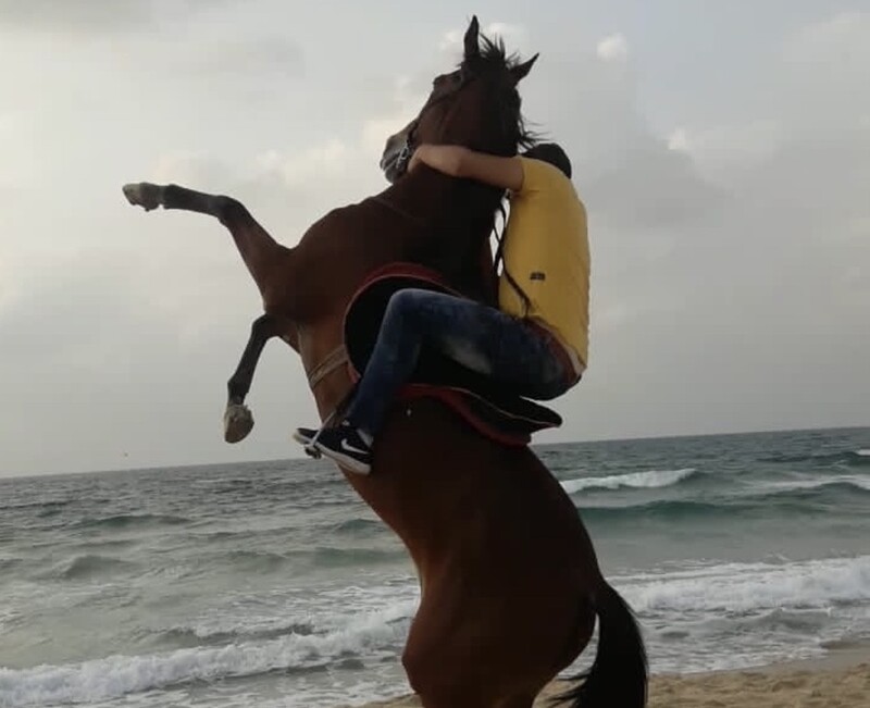 A horse on a beach with her rider