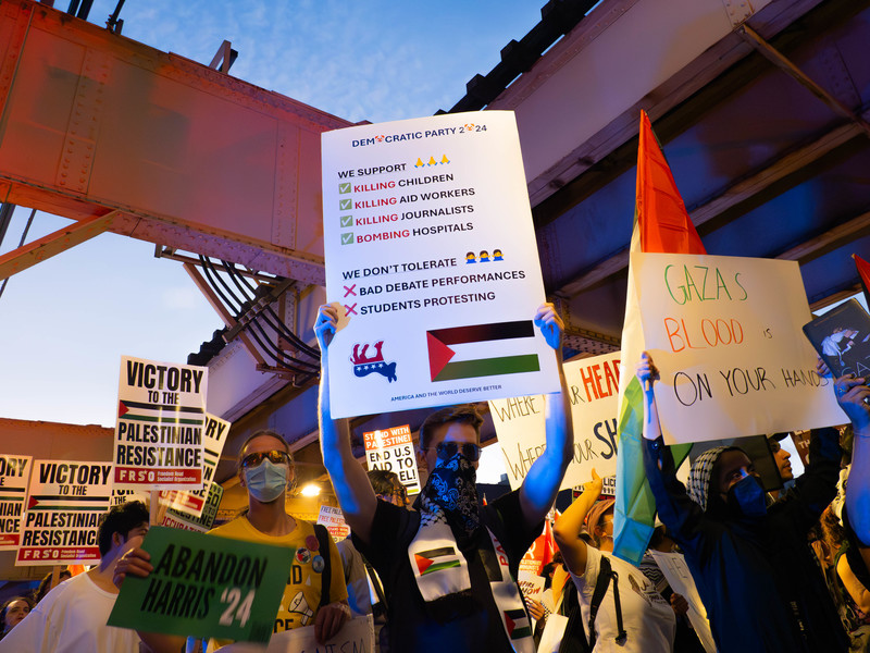 Man holds up sign with Palestine flag protesting the Democratic Party