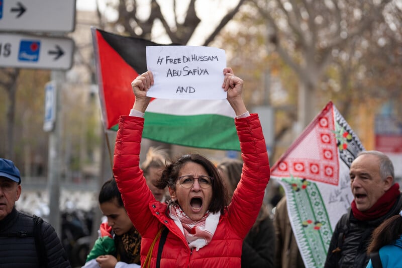 A woman holds aloft a sign calling to free Dr. Hussam Abu Safiya as other protesters join her